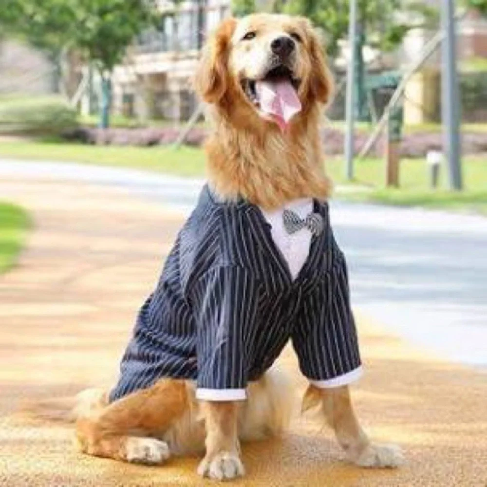 NWT Hopper‎ striped dog tuxedo 4xl
